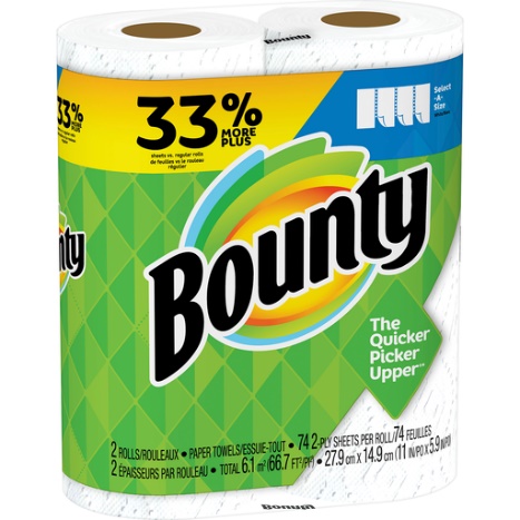 Bounty Sel-A-Size Big Rolls Print x 2